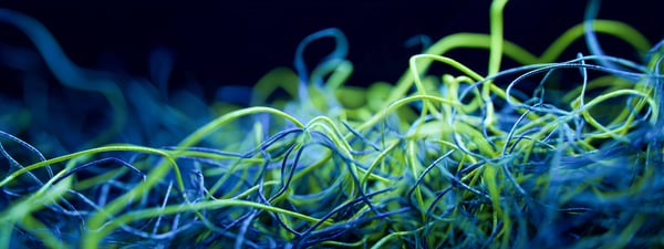 AdobeStock_1941469189