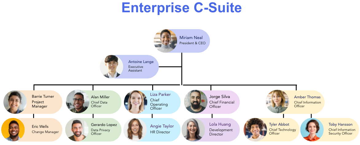 Enterprise C-Suite
