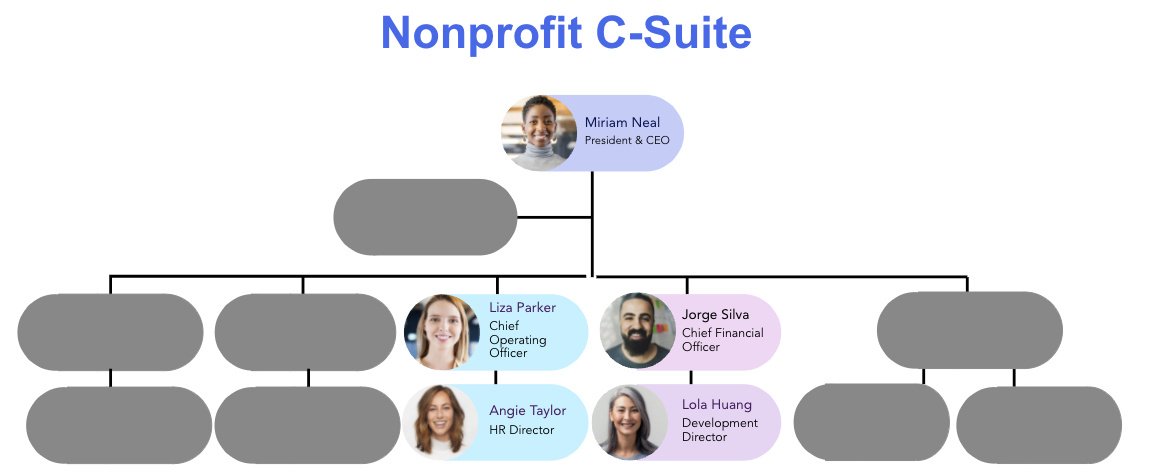 Nonprofit C-Suite