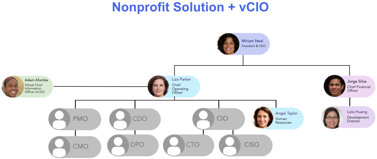 Nonprofit Solution Plus vCIO