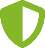 cybersecurity icon