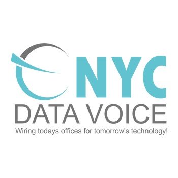 nyc data voice logo