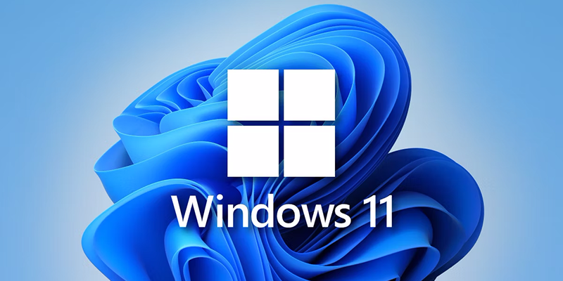 Should Nonprofit Organizations Upgrade to Windows 11